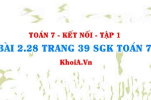 Bài 2.28 trang 39 SGK Toán 7 tập 1 Kết nối tri thức
